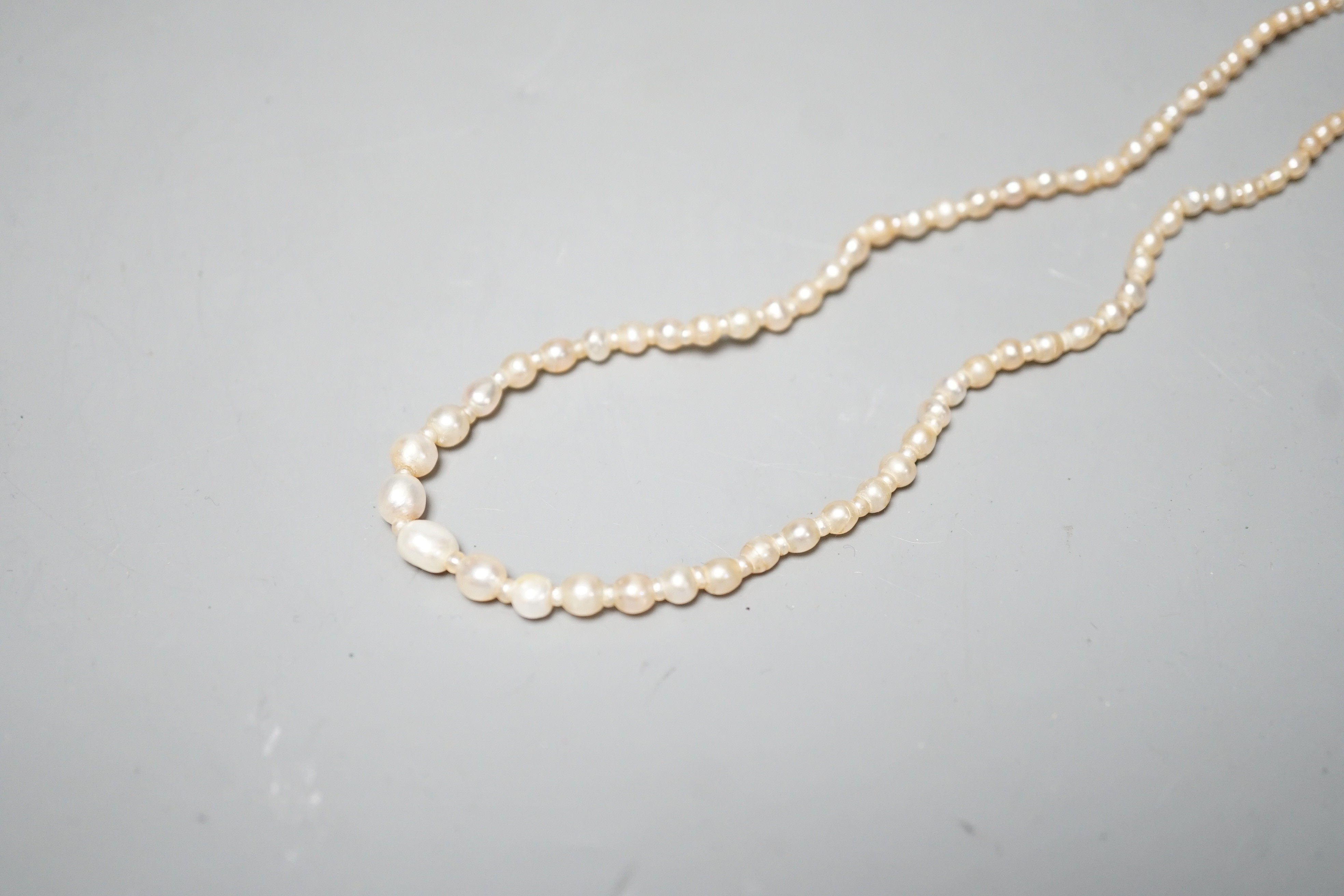 A single strand graduated natural saltwater pearl necklace, with sapphire and diamond set clasp, 44cm, gross weight 7 grams, with accompanying GCS report dated 23/11/2022.